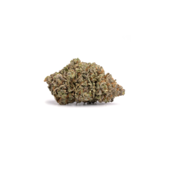 GELATO (CBD)