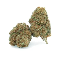 OG KUSH (CBD)