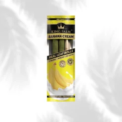 Banana Cream King Palm