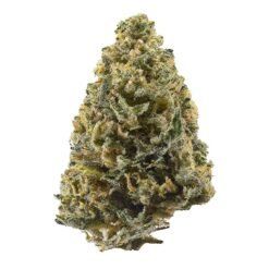 NORTHERN LIGHTS (CBD)