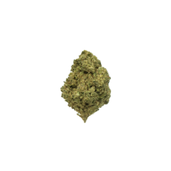 DIESEL HAZE (CBD)
