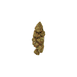 MIMOSA (CBD)