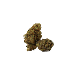 RAIMBOW (CBD)