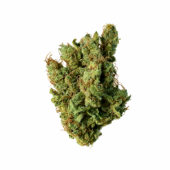 SUPER SILVER HAZE (CBD)