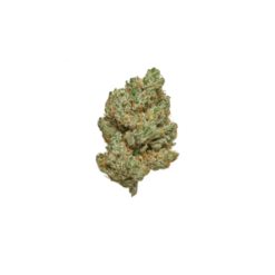 AMNESIA HYDRO (CBD)