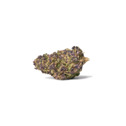 LIME PURPLE (CBD)